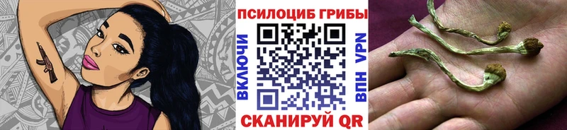 Псилоцибиновые грибы GOLDEN TEACHER  магазин    Сковородино 